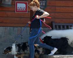 Ariel is an animal lover and has adopted three dogs named Peebles, Hercules, and Cher.